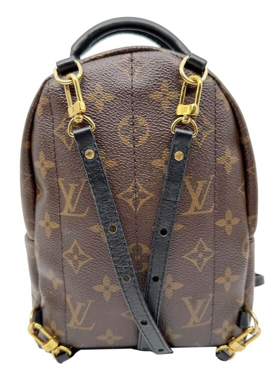 Louis Vuitton Palm Spring Mini Monogram Canvas Backpack Brown main image 6